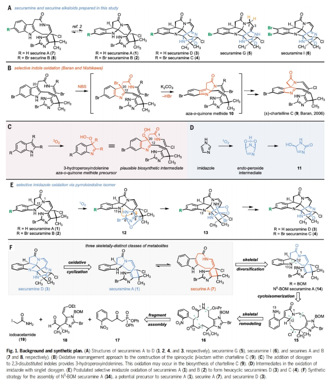 1709774126349211.png image.png