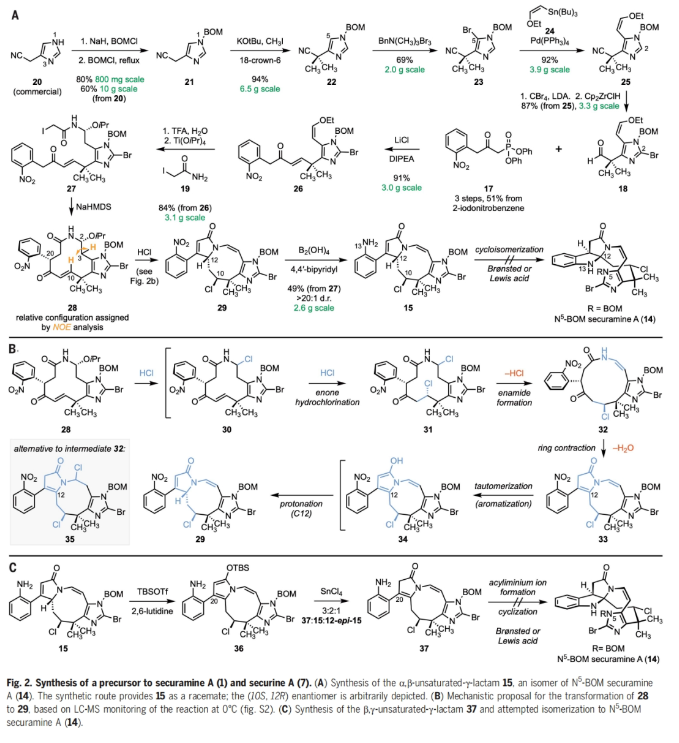 1709774137762134.png image.png