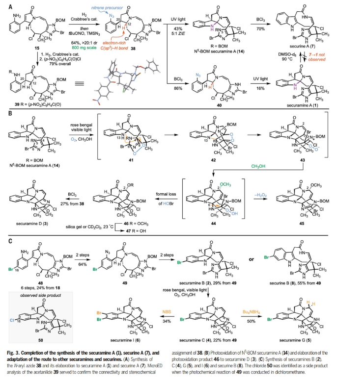 1709774148484215.png image.png