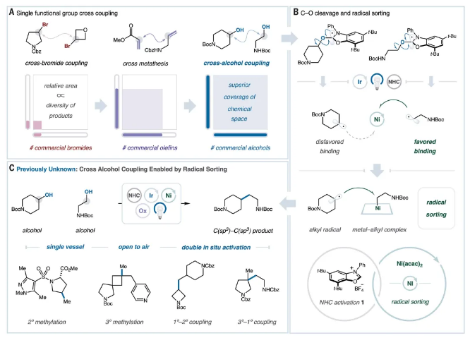 1711438351506634.png image.png