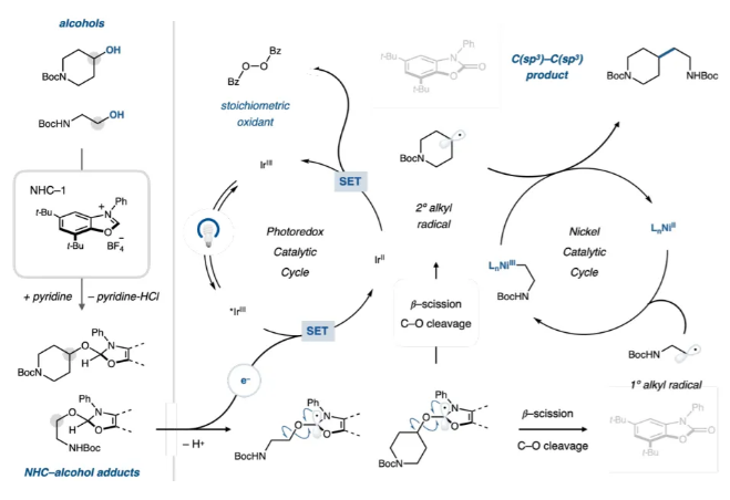 1711438361770975.png image.png