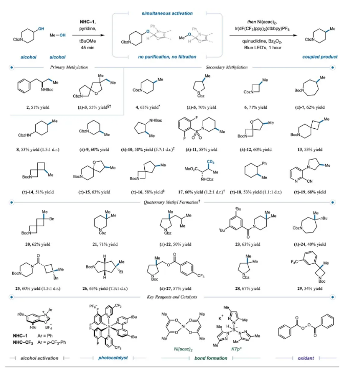 1711438373662080.png image.png