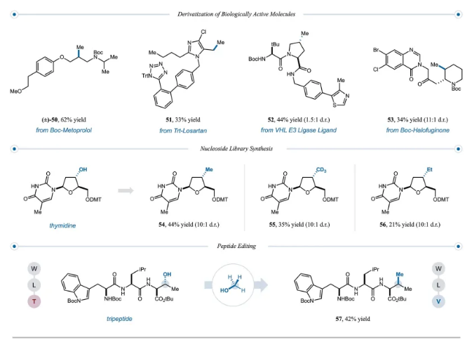 1711438393125217.png image.png