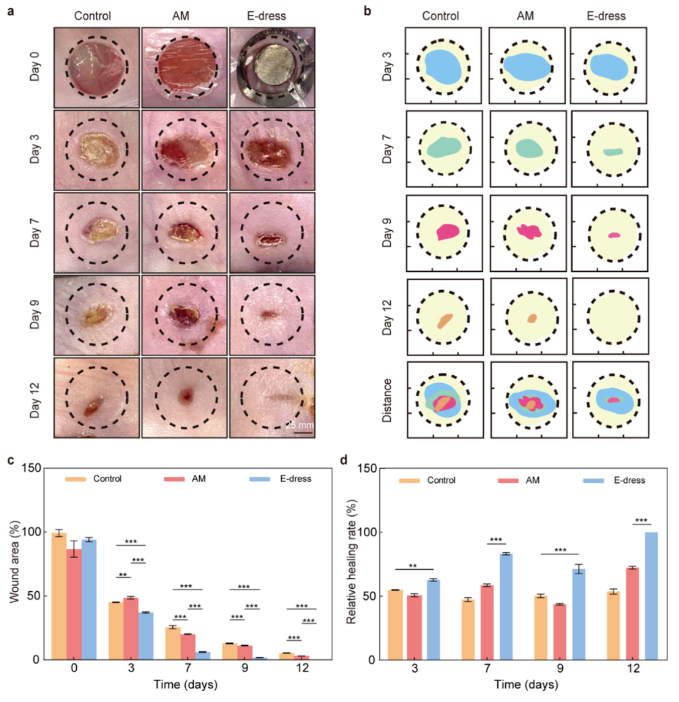 1711510937185208.png image.png