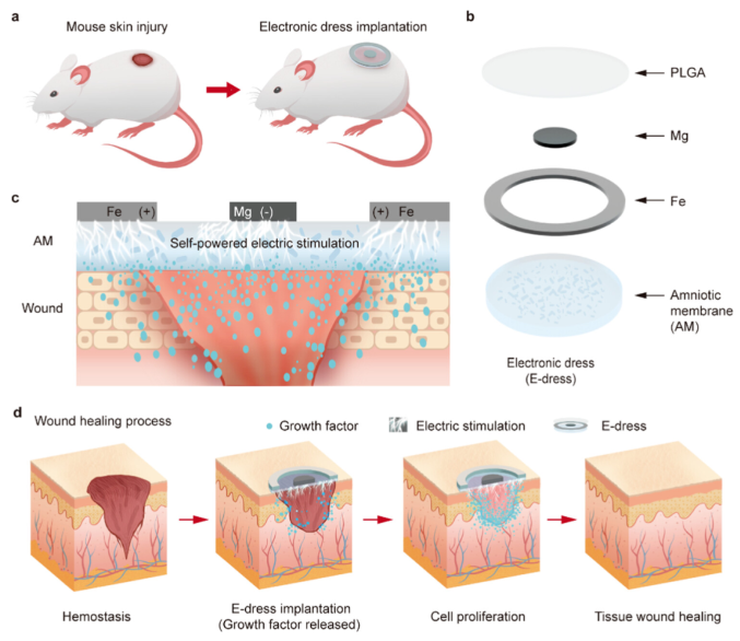 1711510942286248.png image.png