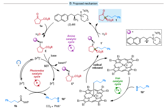 1711590103898166.png image.png