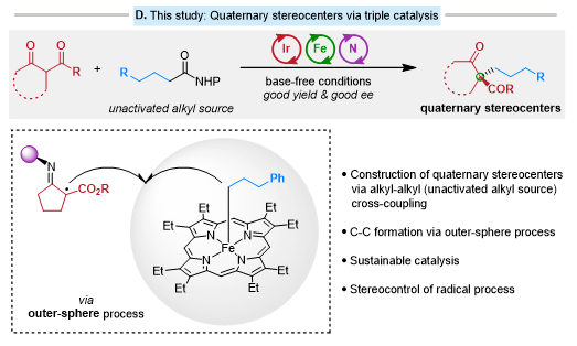 1711590133614294.png image.png