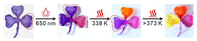 1711590655552477.png image.png