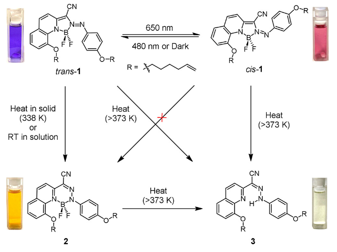 1711590689736332.png image.png