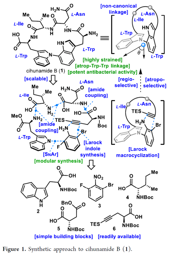 1711943410652848.png image.png