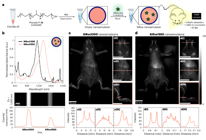 1712816595249579.png image.png