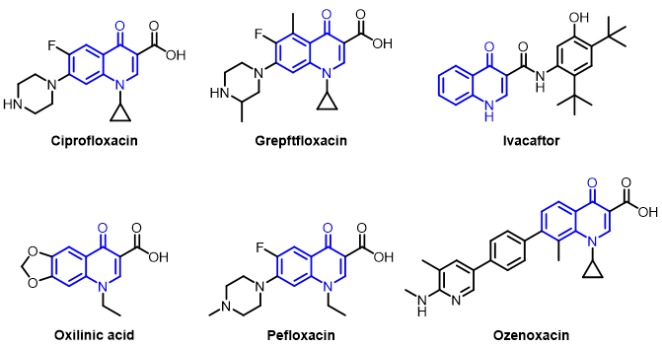 1713838945296737.png image.png