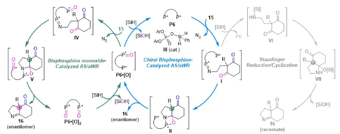 1714267204828247.png image.png