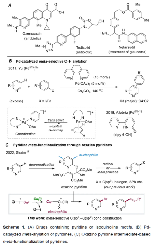 1714267416233974.png image.png