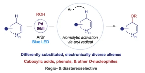 1721205771905626.png 1.png