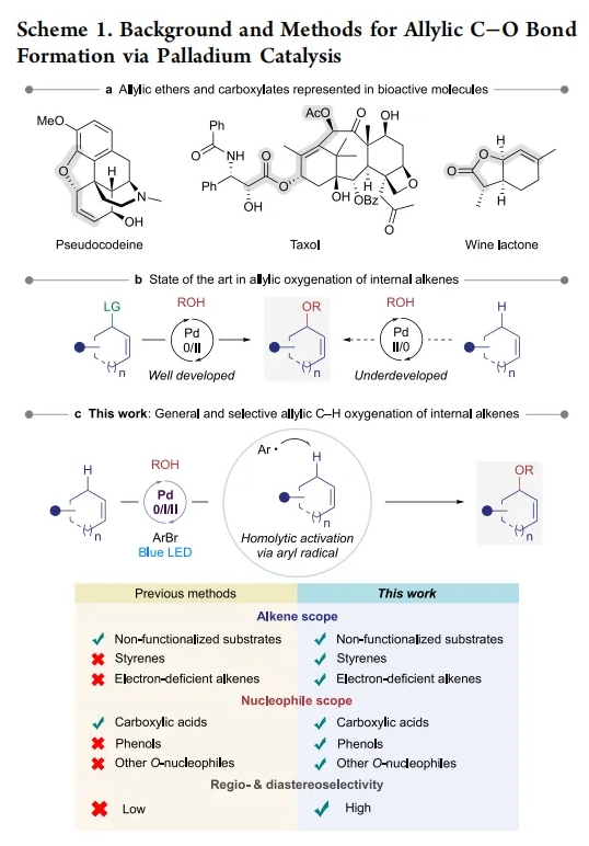 1721205776298090.png 2.png