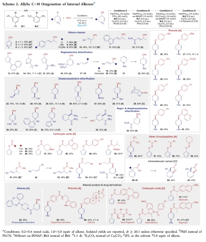 1721205789496494.png 4.png