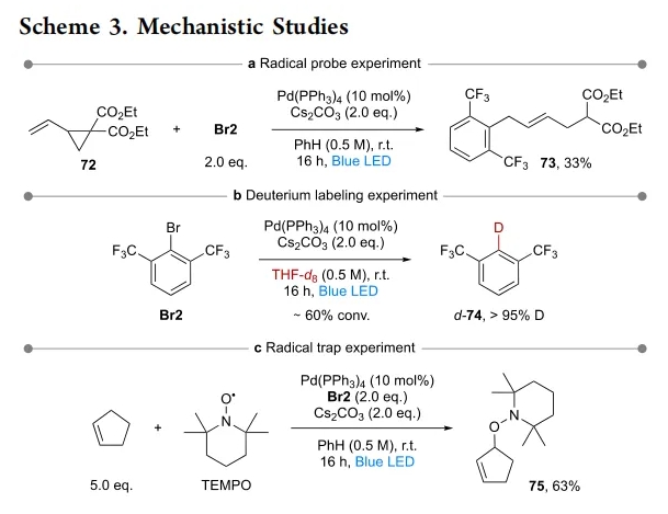 1721205795966616.png 5.png