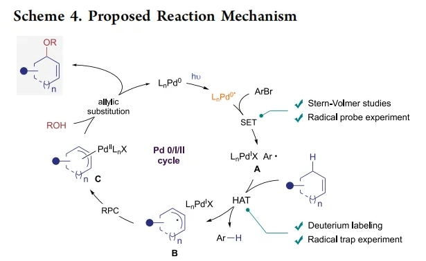 1721205800764374.png 6.png