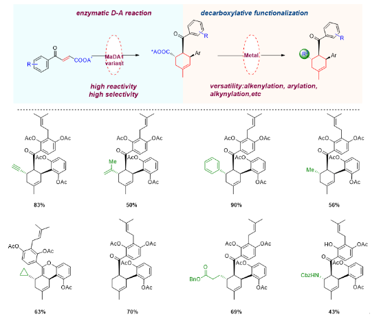 1721268971857895.png image.png