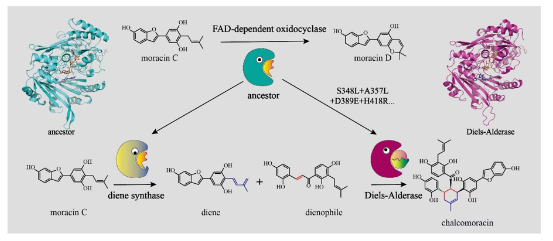 1721268978552574.png image.png