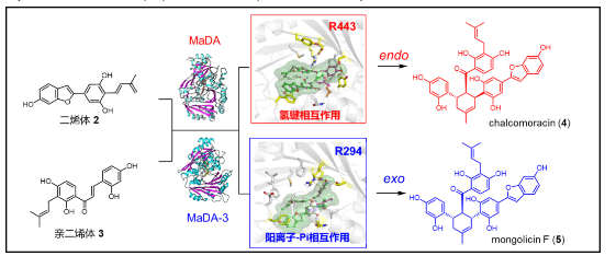 1721268999637638.png image.png