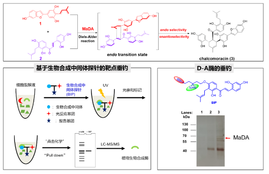 1721269013604112.png image.png