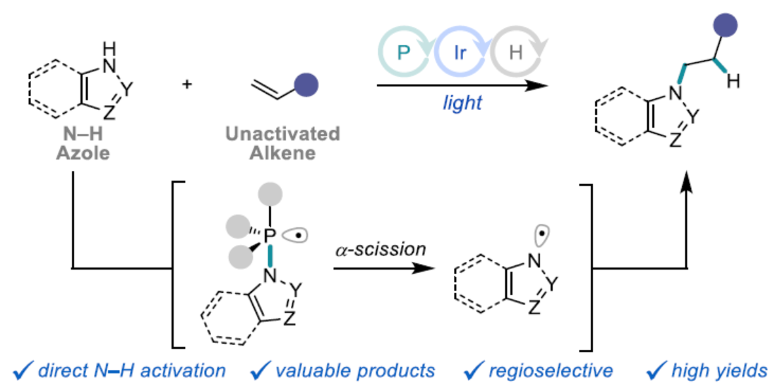 1721715736100557.png 圖片1.png