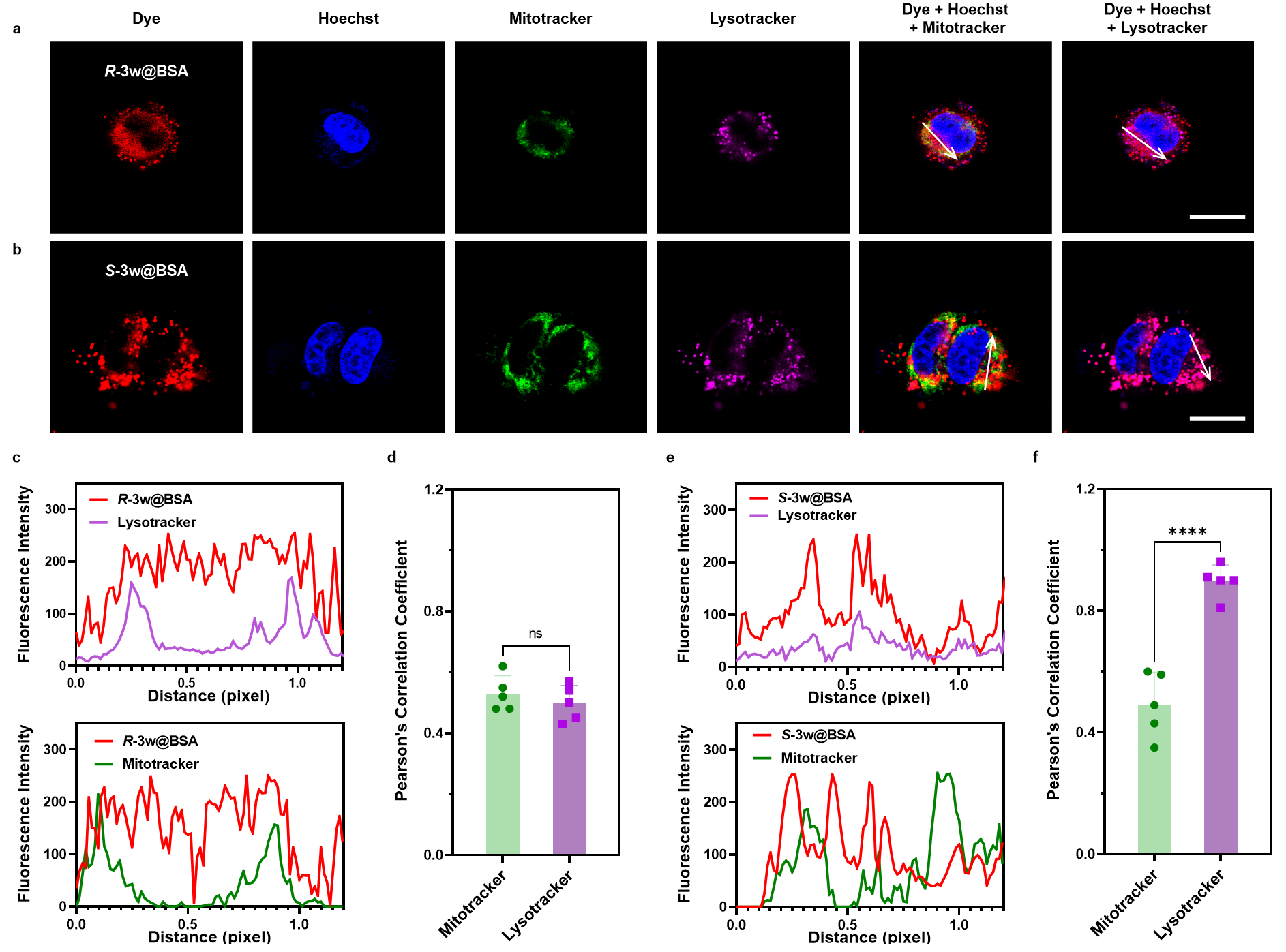 1764142647634731.png 圖片4.png