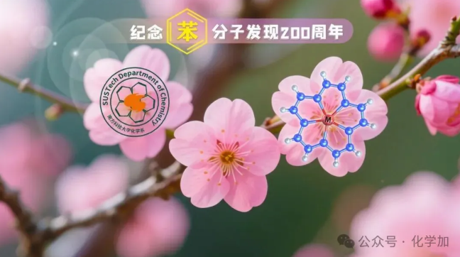 1765270055234461.png image.png